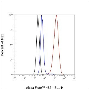 Recombinant QSOX1 Monoclonal Antibody (AGEL6573)