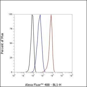 Recombinant Smac/Diablo Monoclonal Antibody (AGEL6586)