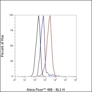 Recombinant WWOX Monoclonal Antibody (AGEL6617)
