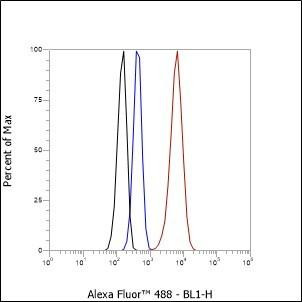 Recombinant Keratin 13 Monoclonal Antibody (AGEL6622)