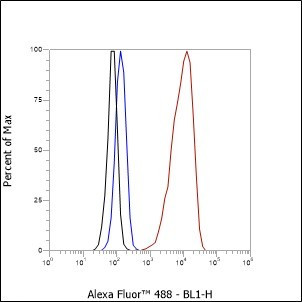 Recombinant NCAM1/CD56 Monoclonal Antibody (AGEL6630)