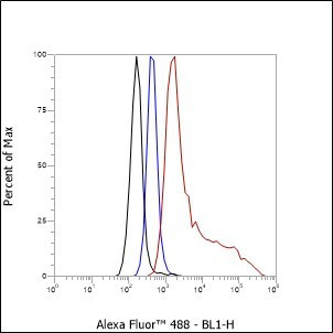 Recombinant S100A8 Monoclonal Antibody (AGEL6646)