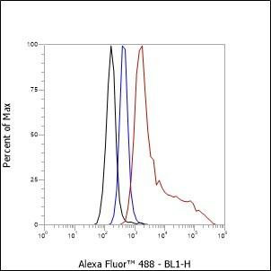 Recombinant S100A8 Monoclonal Antibody (AGEL6646)