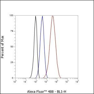 Recombinant CCR7 Monoclonal Antibody (AGEL6663)