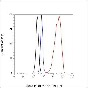 Recombinant ILF3 Monoclonal Antibody (AGEL6685)
