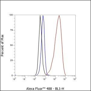 Recombinant OLR1/LOX1 Monoclonal Antibody (AGEL6686)
