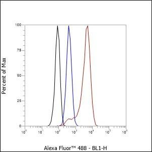 Recombinant CD7 Monoclonal Antibody (AGEL6687)