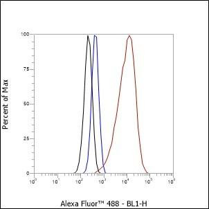 Recombinant Topoisomerase I Monoclonal Antibody (AGEL6694)