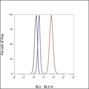 Recombinant Heme Oxygenase 1 Monoclonal Antibody (AGEL6721)