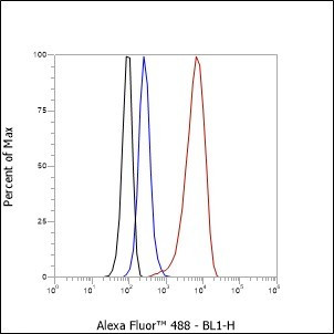 Recombinant Pin1 Monoclonal Antibody (AGEL6732)