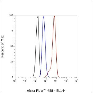 Recombinant Gelsolin Monoclonal Antibody (AGEL6751)
