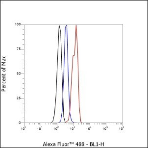 Recombinant CDK1/Cdc2 Monoclonal Antibody (AGEL6895)