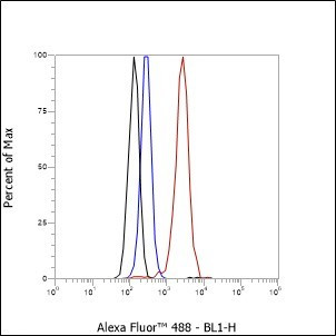 Recombinant TFIIF beta Monoclonal Antibody (AGEL6986)