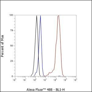 Recombinant CTCFL Monoclonal Antibody (AGEL6987)