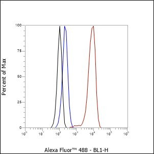 Recombinant CSDE1 Monoclonal Antibody (AGEL6990)