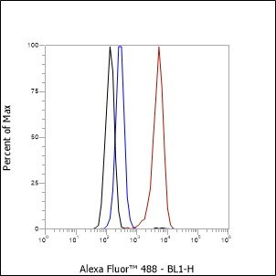 Recombinant SMARCC2/BAF170 Monoclonal Antibody (AGEL6991)