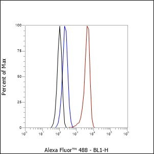 Recombinant NELF-B Monoclonal Antibody (AGEL6992)