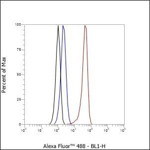 Recombinant NELF-B Monoclonal Antibody (AGEL6992)