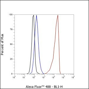 Recombinant Phospho-Tau (Ser199) Monoclonal Antibody (AGEL7005)
