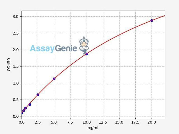 Human CKB/Creatine kinase B-type ELISA Kit (HUFI01729)
