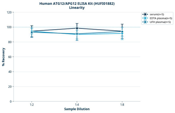 Human ATG12/APG12 ELISA Kit (HUFI01882)