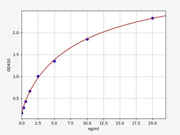 Human Metabolism ELISA Kits Human beta Lactamase ELISA Kit