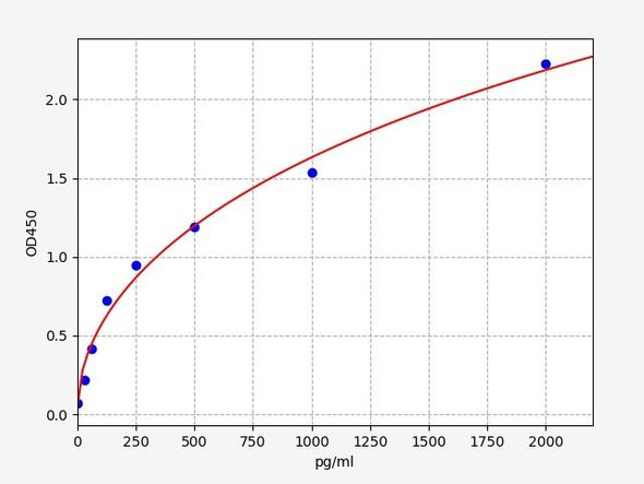 Rat Immunology ELISA Kits 1 Rat Synapsin-1 / SYN1 ELISA Kit