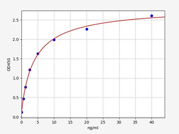 Rat Immunology ELISA Kits 2 Rat SMAD2 ELISA Kit