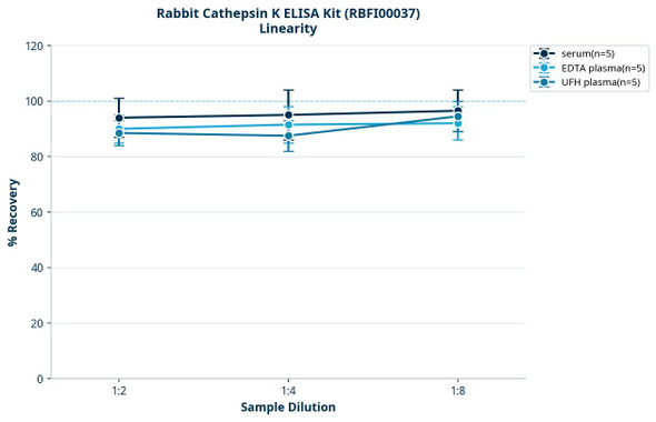 Rabbit Cathepsin K ELISA Kit (RBFI00037)