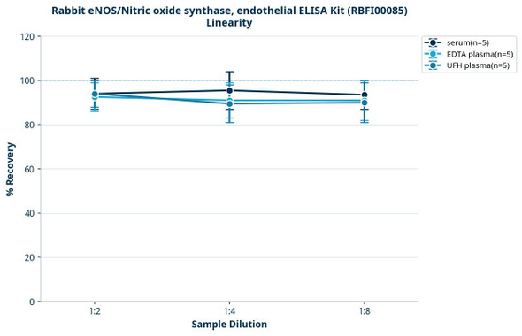 Rabbit eNOS/Nitric oxide synthase, endothelial ELISA Kit (RBFI00085)