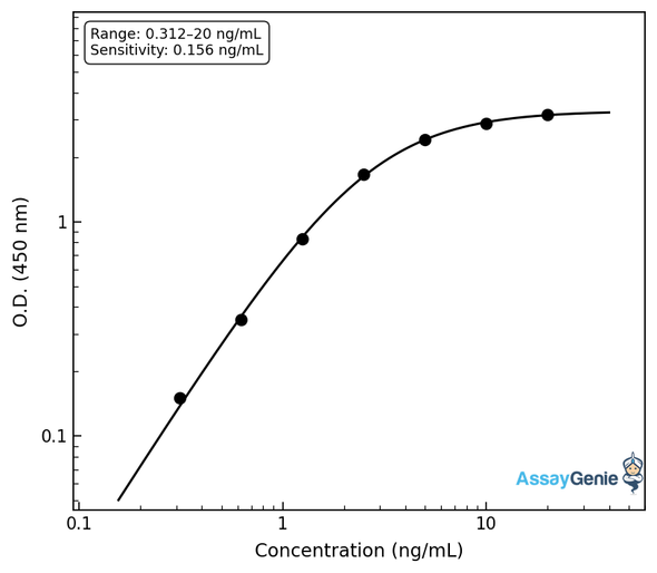 Human Calnexin (CANX) ELISA Kit (HUEB0544)