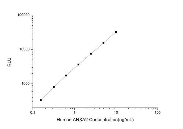 Human Immunology ELISA Kits 11 Human ANXA2 Annexin A2 CLIA Kit HUES00324