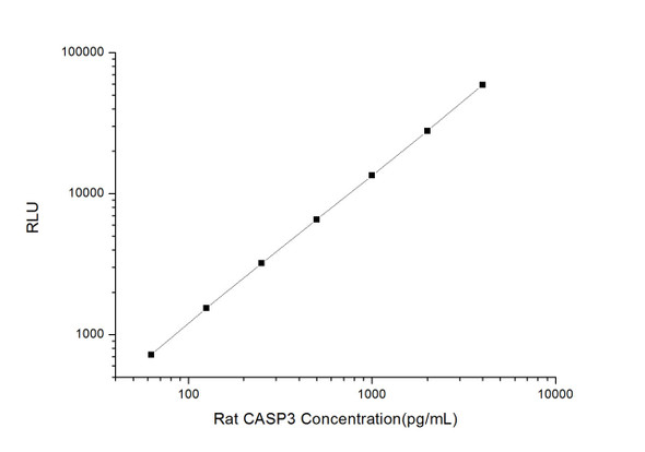 Rat Signaling ELISA Kits 2 Rat CASP3 Caspase 3 CLIA Kit RTES00096