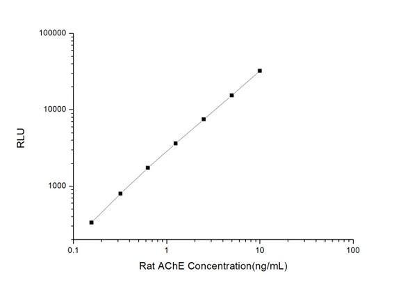 Rat Signaling ELISA Kits 2 Rat AChE Acetylcholinesterase CLIA Kit RTES00193