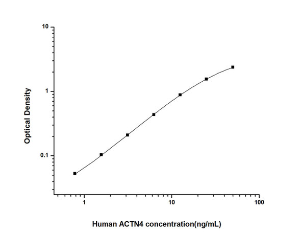 Human Cell Biology ELISA Kits 1 Human ACTN4 Actinin Alpha 4 ELISA Kit HUES02638