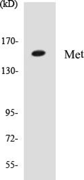 Met Colorimetric Cell-Based ELISA Kit