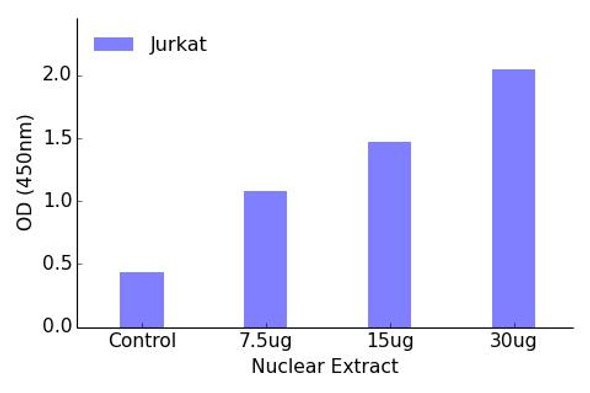 JunD Phospho-Ser255 Transcription Factor Activity Assay