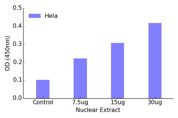 NF-kappaB p100 Phospho-Ser872 Transcription Factor Activity Assay