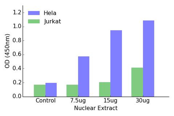 ETV6 Transcription Factor Activity Assay