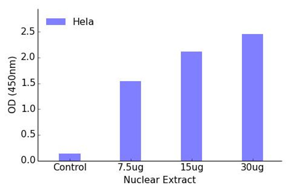 FLI1 Transcription Factor Activity Assay