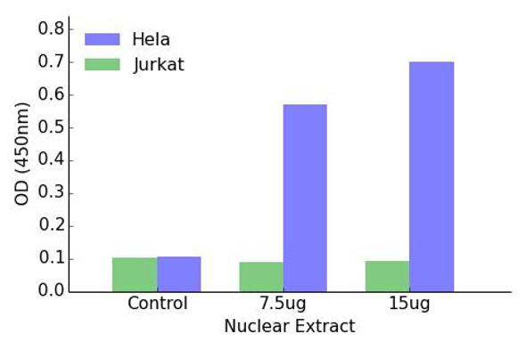 SPI1 Transcription Factor Activity Assay