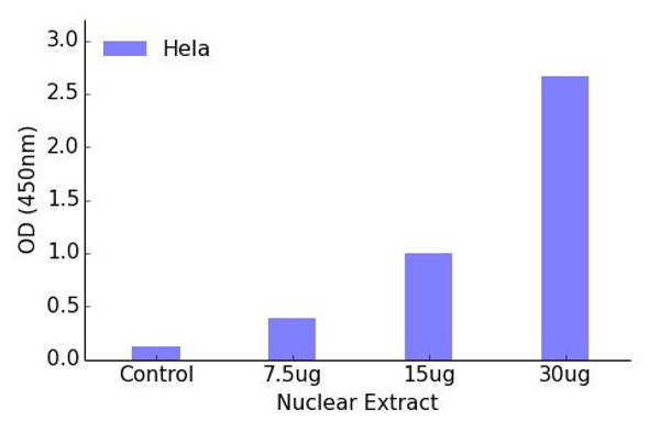 SPIC Transcription Factor Activity Assay