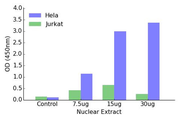 HIF-1alpha Transcription Factor Activity Assay