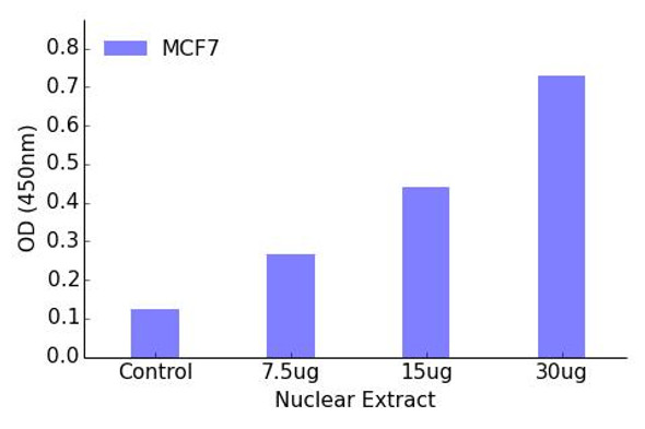 Retinoic Acid Receptor alpha Transcription Factor Activity Assay