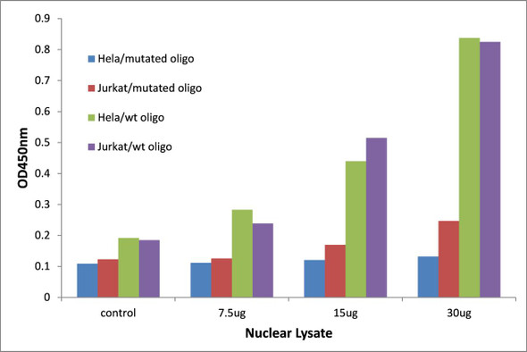 Retinoid X Receptor gamma Transcription Factor Activity Assay