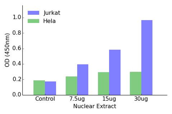 NR1I3 Transcription Factor Activity Assay