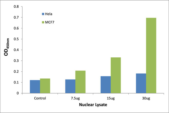 SMRC2 Transcription Factor Activity Assay