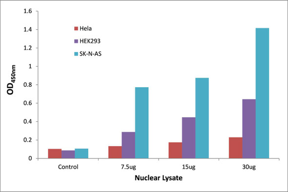 OCT3 Transcription Factor Activity Assay