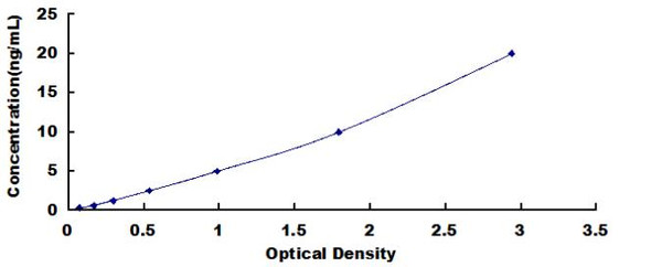 Human Extracellular Signal Regulated Kinase 1 ERK1 ELISA Kit