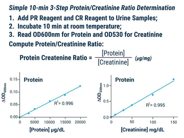 Signaling Pathway Assays Protein Creatinine Ratio Assay Kit BA0055